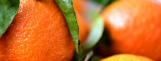 a pile of oranges sitting on top of a table